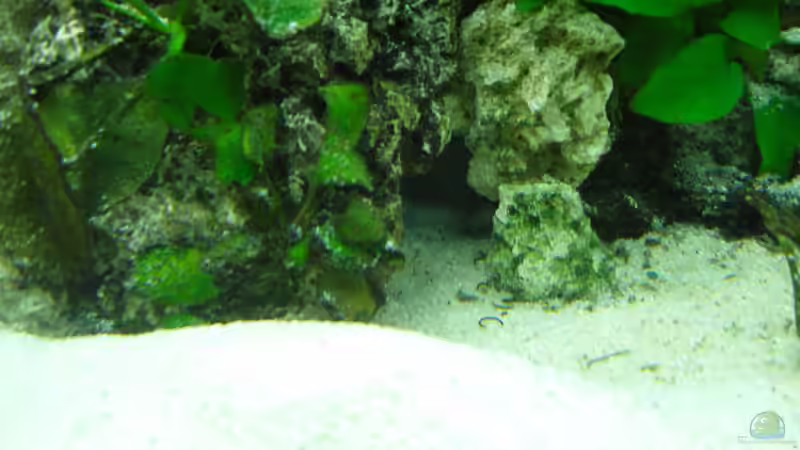 Höhle 2 von Benjamin Heinemeyer (5)