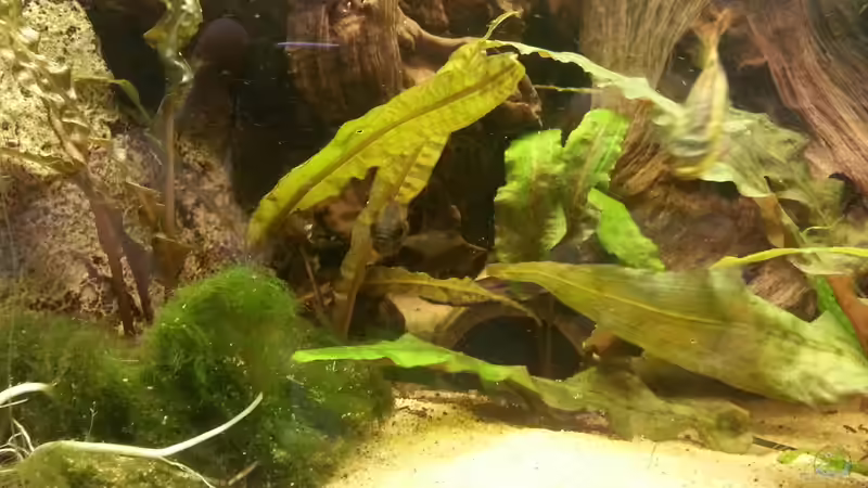 Höhle 2 von Zohan (16)