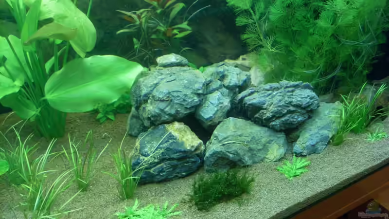 Höhle aus großen Steinen von Springer (42)