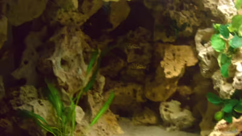 Höhle aus Lochgestein von Christof Brixner (14)