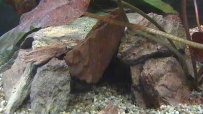 Höhle aus Rotem Schiefer von Stanley Weinhold (7)