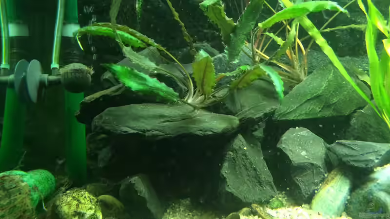 Höhle aus Schottersteinen von X-Rayminator (12)