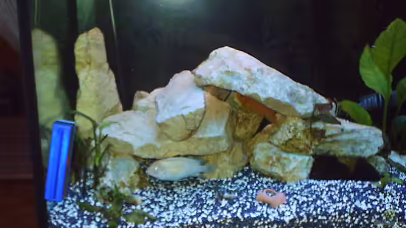 Höhle II von Stephan Weber (7)