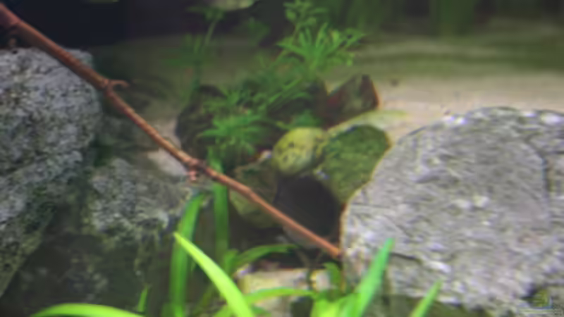 Höhle im Hang von bull70 (9)