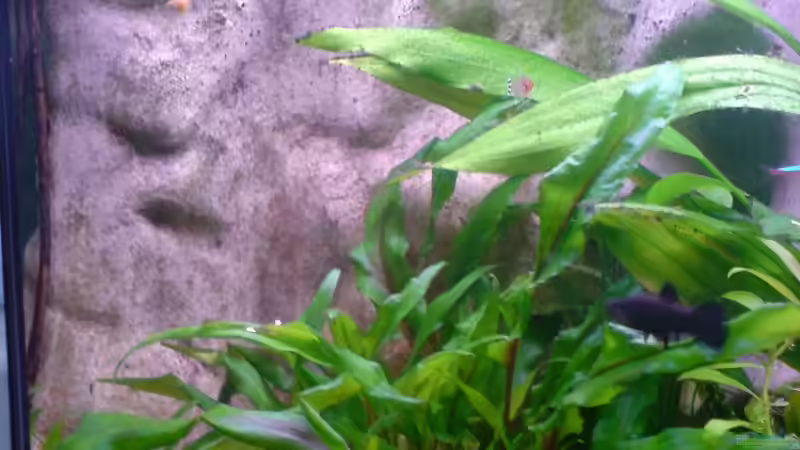 Höhle in der Rückwand 2 von Thorsten Hoch (18)