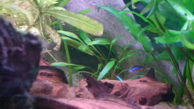 Höhle in der Rückwand von Thorsten Hoch (17)