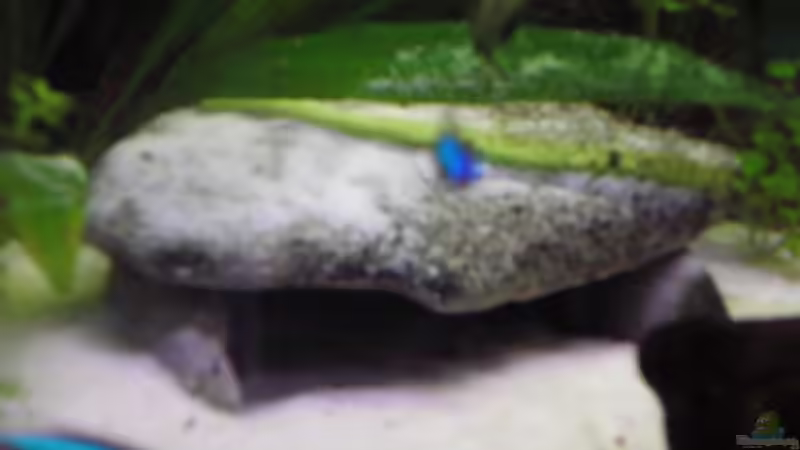 Höhle links auf der Terrasse von Südamerikafreak BK (9)