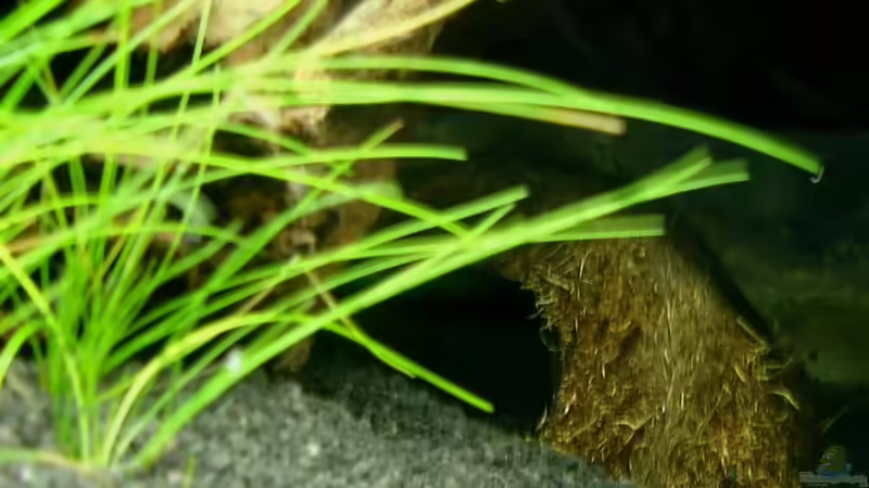 Höhle rechte Seite von Alfur (17)