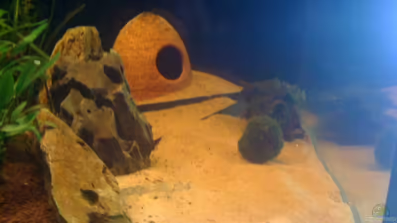 höhle rechts hinten von Jürgen Müller (4)