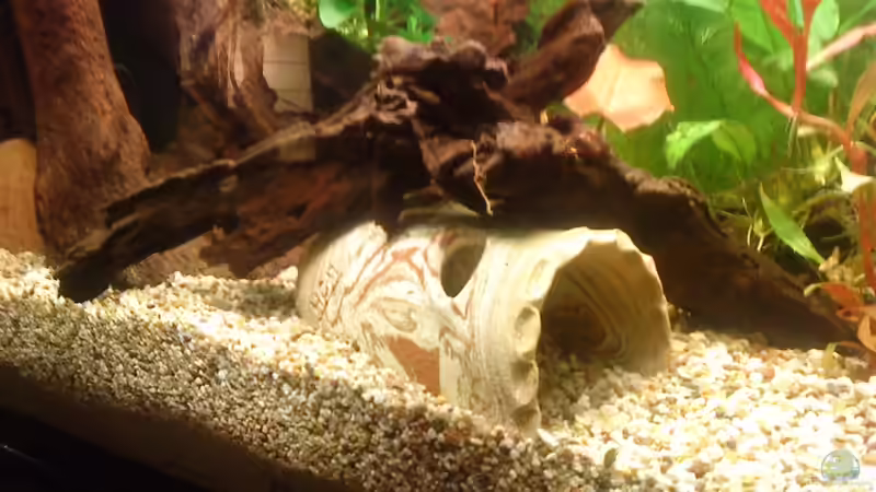 Höhle und kleine Mangrovenwurzeln von Marcus Roth (17)