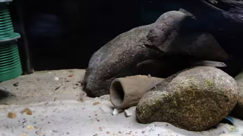 Höhle und Steine von Fichte (5)