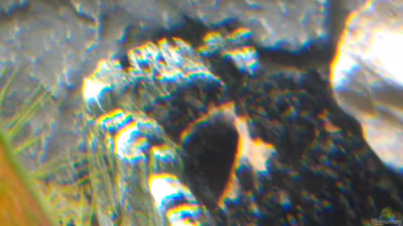 Höhle vergraben im Boden. Wird gerne angenommen von den Welsen. von AdrianSoS (42)