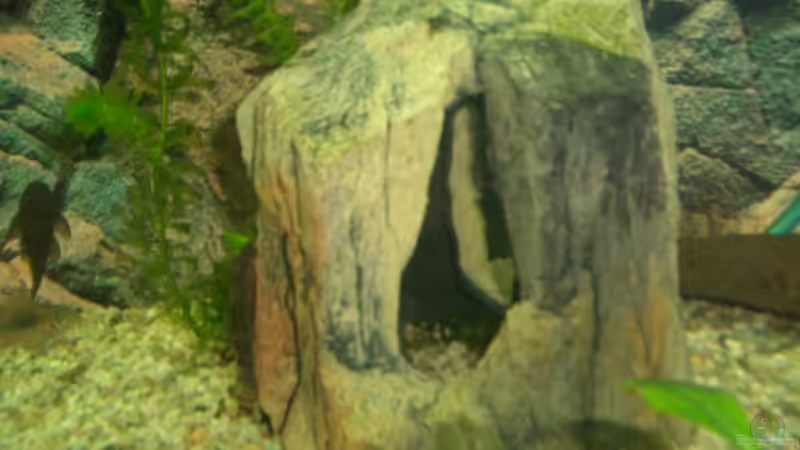 höhle von Andre Schumacher (17)