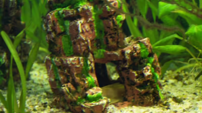 Höhle von Dani7 (10)