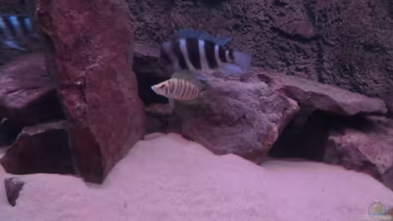 Höhle von Jannik Sommer (7)