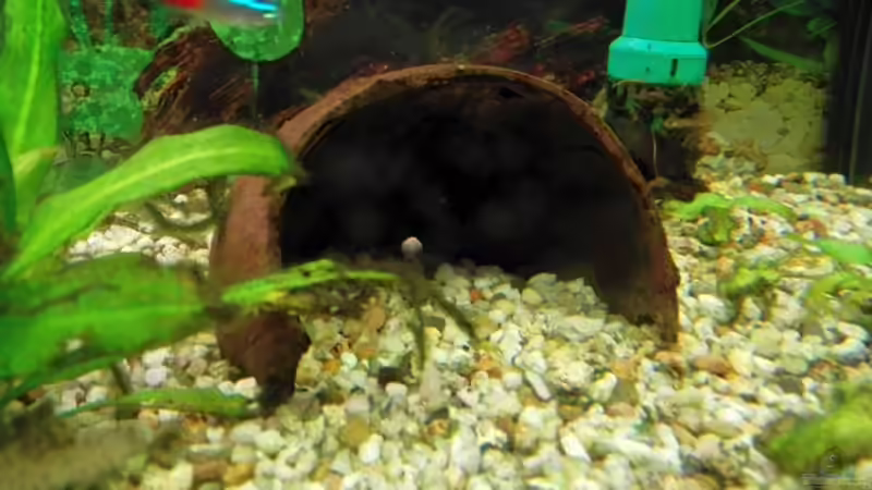 Höhle von Matze2903 (7)