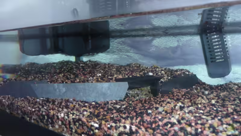 Höhle von Mr.Zogs (4)