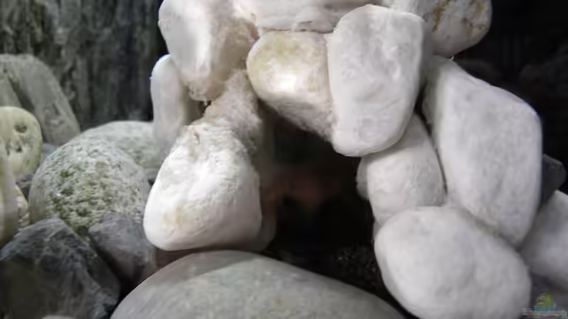 Höhle von nah von did244 (15)