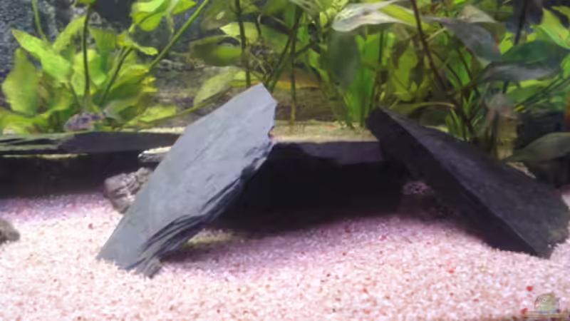 Höhle von Obsera (5)