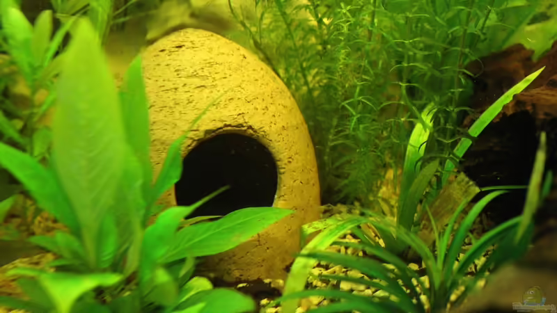 Höhle von Ralf Kl (11)