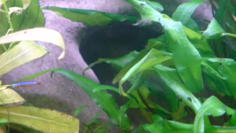 Höhle von Thorsten Hoch (16)