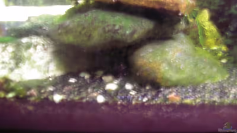 Höhle vor der Terasse von Südamerikafreak BK (10)