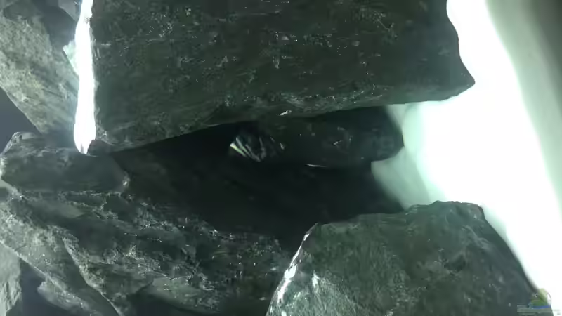 Höhlen  von DannySea (6)