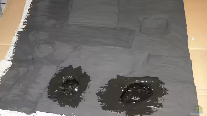 Höhlen am Harzen rechter Rückwandteil 08.01.2013 von DominikZ (20)