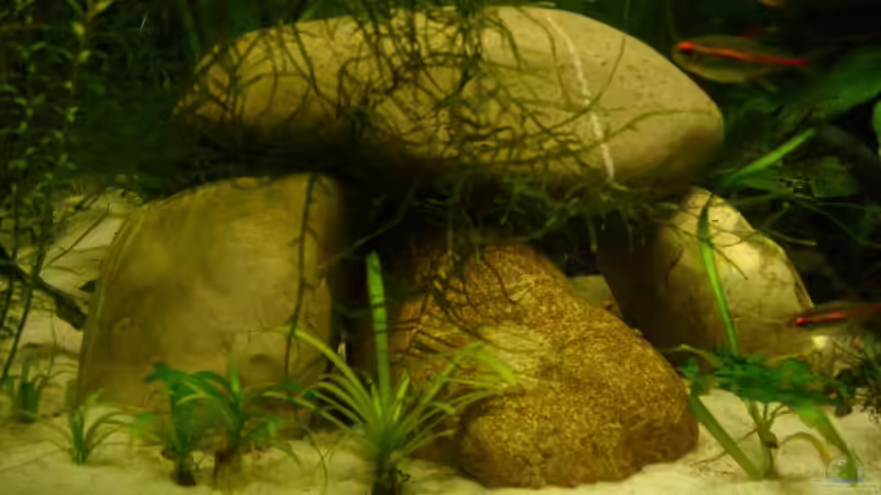 Höhlen aus Isarsteinen von Traenenreiter (7)