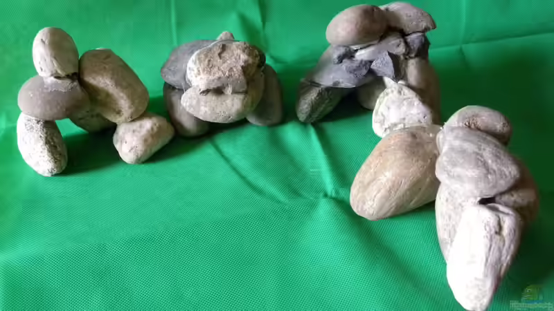 Höhlen aus Kieselsteine mit Aquariumsilikon selbst gebastelt von did244 (10)