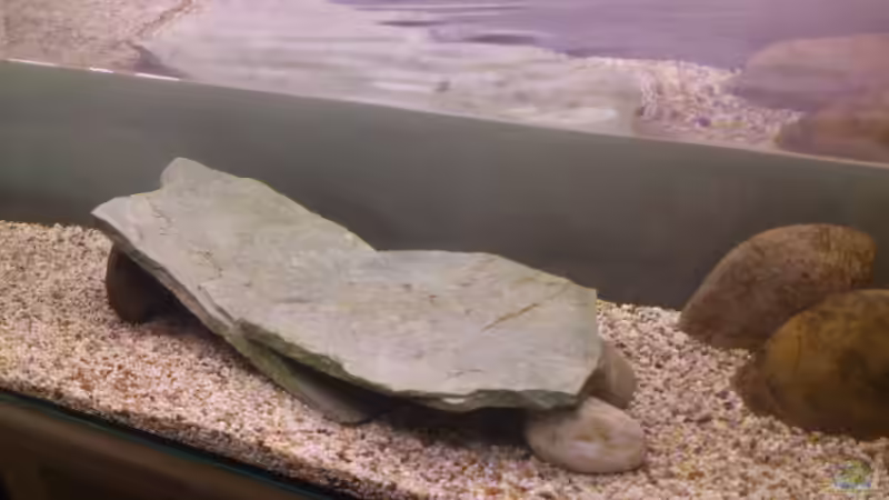 Höhlen aus zwei Porhpyrplatten von Christian Kleinhenz (8)