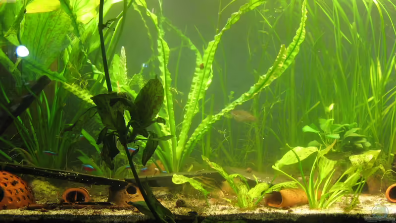 Höhlen und Schiefersteine von chrisi01 (9)