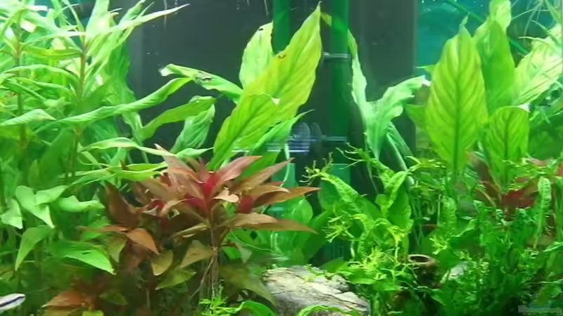 Höhlen von KaSa (8)