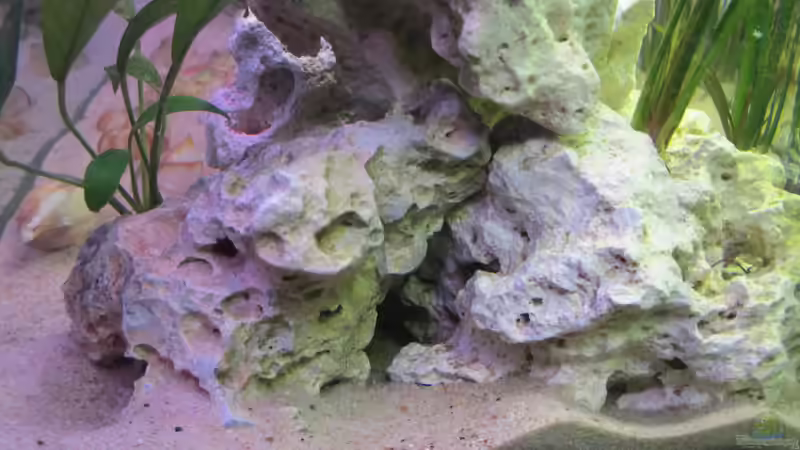 Höhlen von Locke1992 (5)