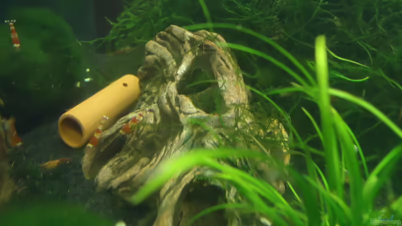 Höhlen von manala (9)