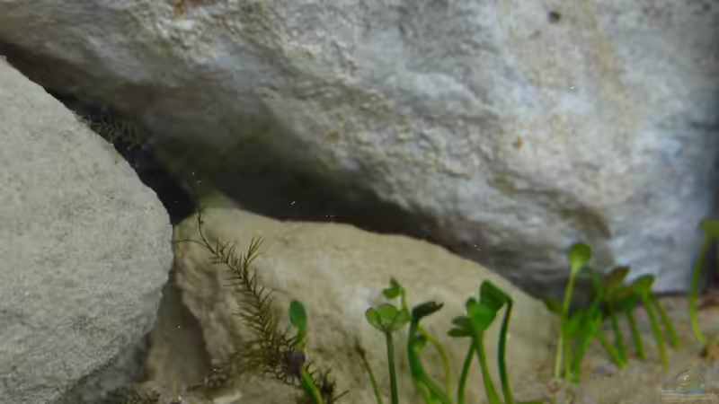 Höhlen von paris (24)