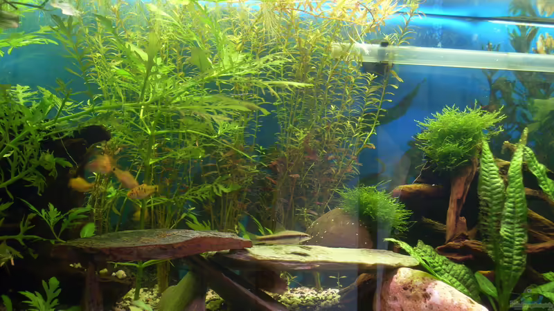 Höhlen von Stefano83 (28)