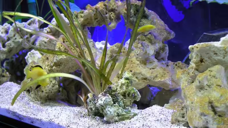 Höhlensystem links von Florian Geittner (3)