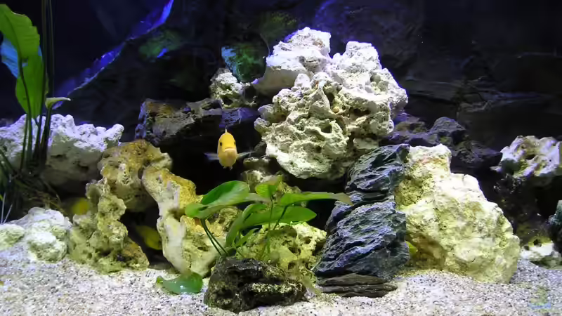 Höhlensystem Rechts von Florian Geittner (4)