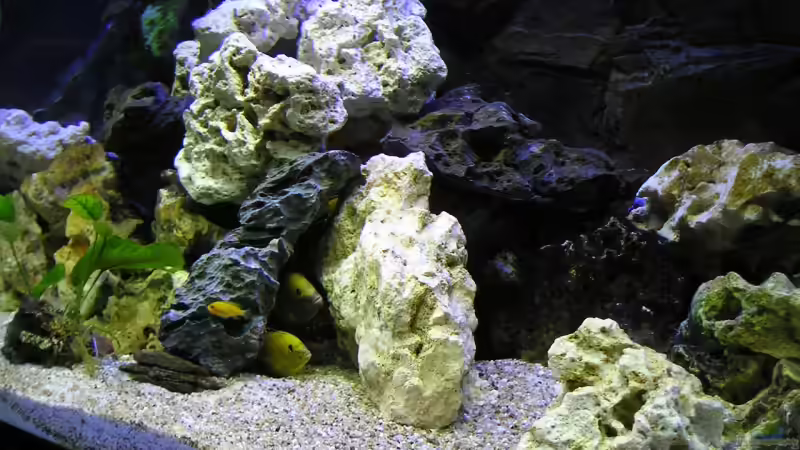 Höhlensystem Rechts von Florian Geittner (5)