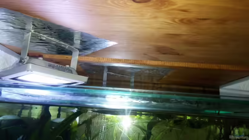 Hoffe man kann das zweigeteilte Brett erkennen von Miss Kasimir (12)