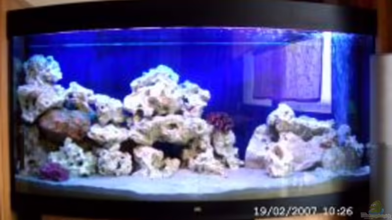 hoffe man kann was sehn da nicht die beste cam kommt alles bisssel greller rüber von Sabine Krüger (1)