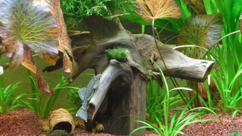 Holz für die Anrtennenwelse von Walter Michelis (5)