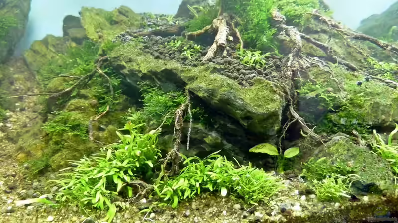 Holz kam erst später dazu von -serok- (22)