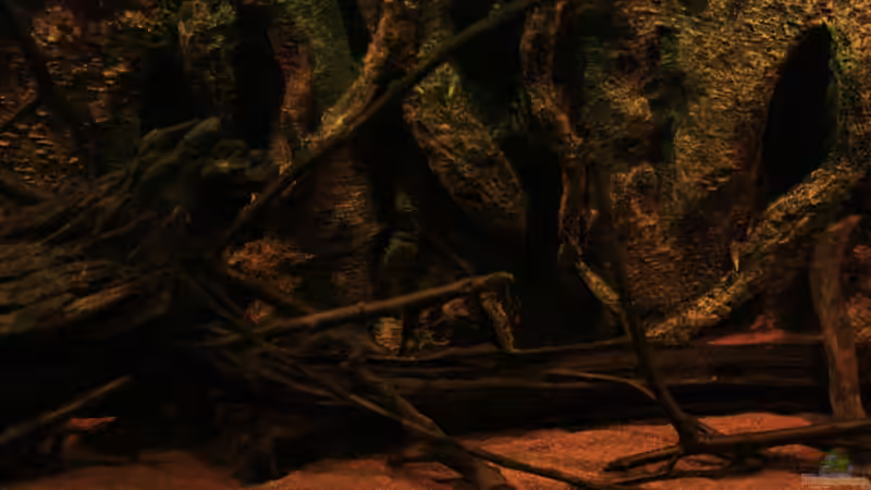 Holzimpressionen von Bämbel (26)