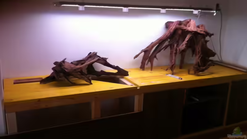 Holzlayout1/2 von maxarl (23)