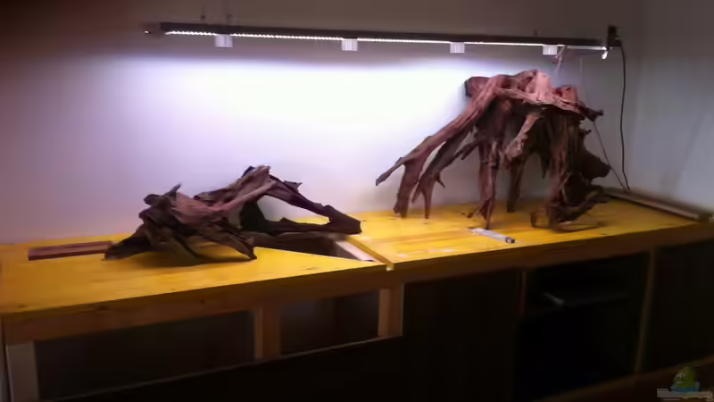 Holzlayout1/4 von maxarl (25)