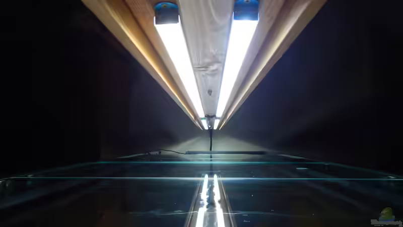 Holzleiste als Lichtbalken (die Idee ist leider geklaut) von Merotheq (48)