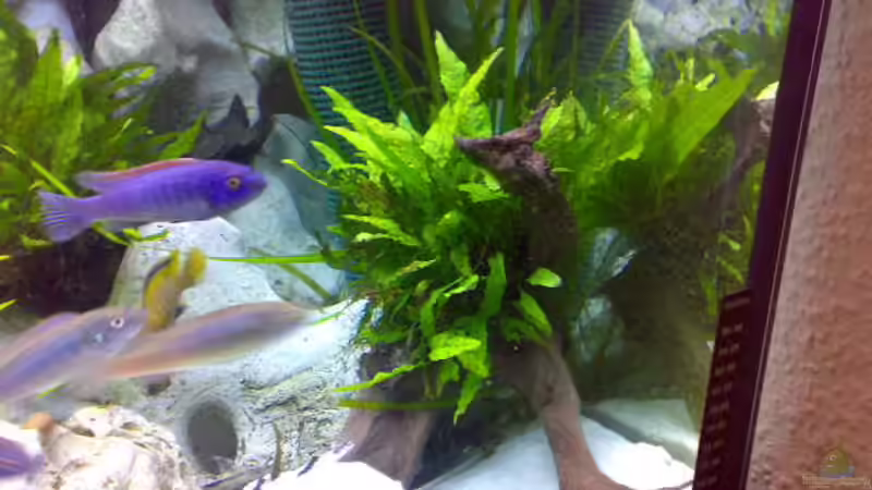 Holznachbildung aus Ton von Sylvia Hoffmann (8)