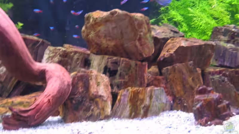 Holzstein von Eberhard Brammer (4)